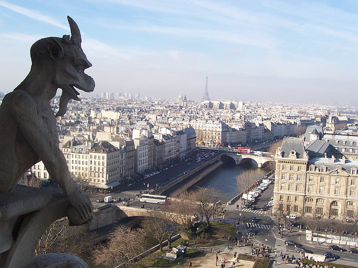Pariz, Francuska, pogled na grad, Katedrala Notre Dame, Ukras sa grotesknim likom, grad, Gradski pejzaž