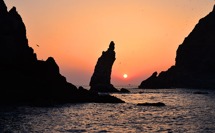 dokdo, korea, our territory, gyeongsangbuk-do, a beautiful island, 19, seagull