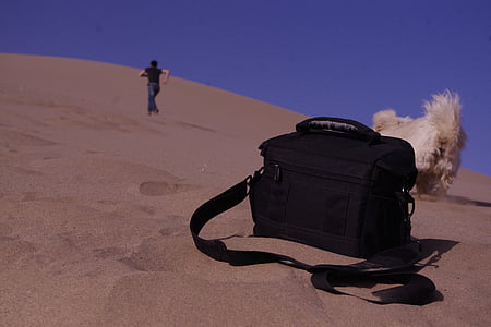 tourism, mingsha, dunhuang, puppy, warm, the scenery