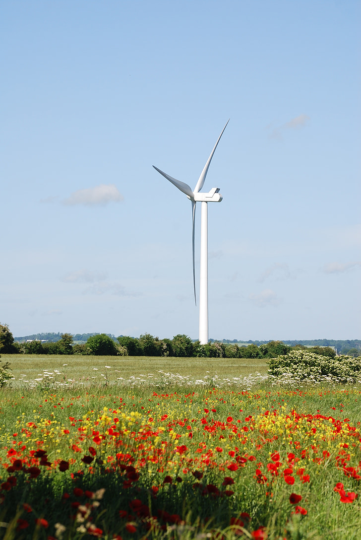 Tuul, turbiinide, põllumaad, keskkonnasõbralik, heinamaa, maastik, turbiini