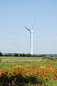 vento, turbinas, terras agrícolas, ambientalmente amigável, Prado, cenário, turbina