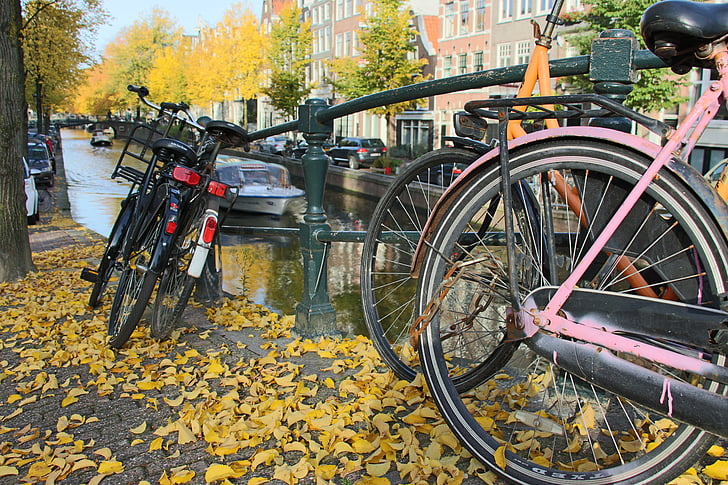 Amsterdam, bicyclettes, canaux, automne, feuilles, Couleur, Holland