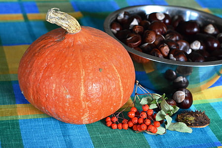 calabaza, otoño, castañas, Serbal, naranja, alimentos