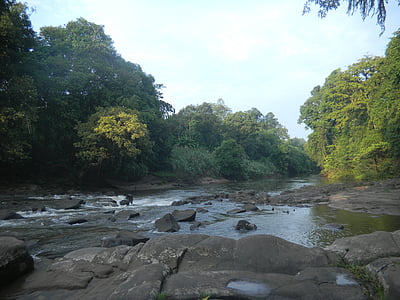 természet, Kalimantan, erdő, víz, folyó, patak, sziklák