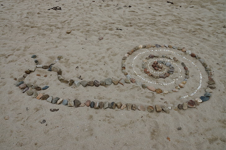 slak, strand, stenen, mosselen, zand, decoratieve