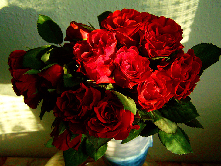 rdečo vrtnico, šopek, cvet, dan žena, Rose - cvet, ljubezen, rdeča