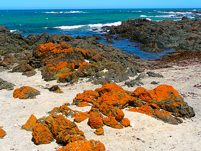 coast, orange, water, landscape, shoreline, rocks, scenery