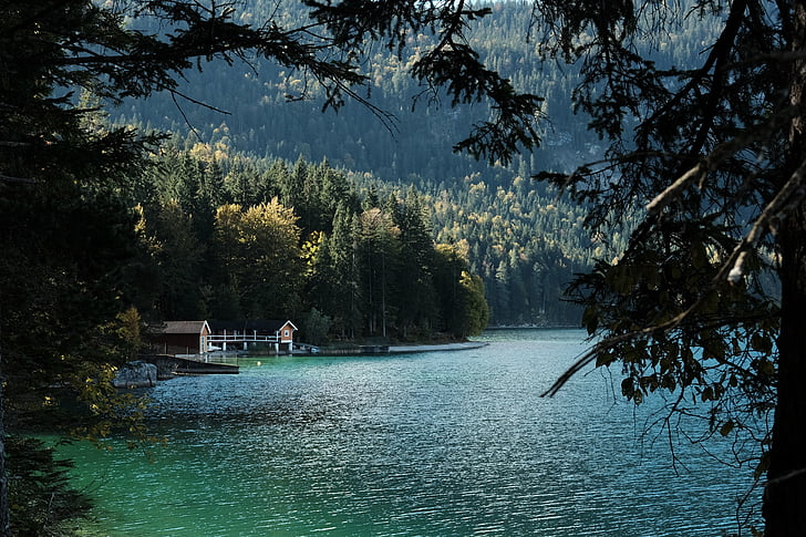brown, house, forest, body, water, lake, blue