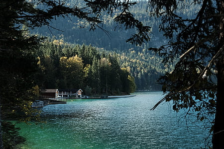 hnedá, dom, Forest, telo, vody, jazero, modrá