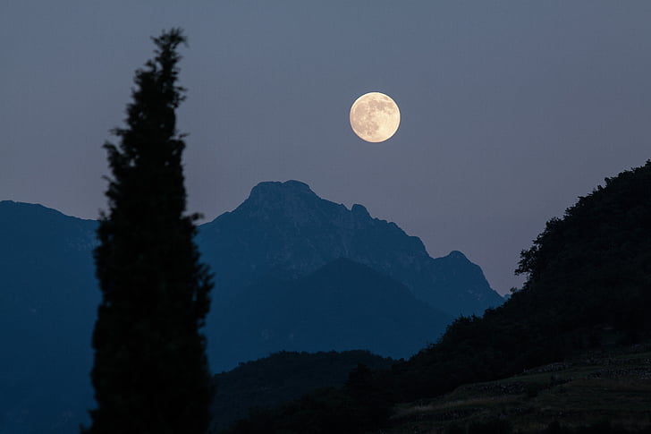 silhouette, photo, tree, full, Moon, mountains, full moon