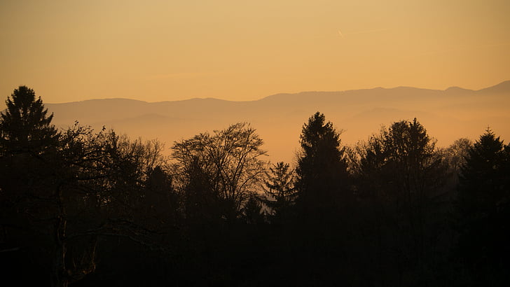 träd, naturen, landskap, bergen, hösten, abendstimmung, solnedgång