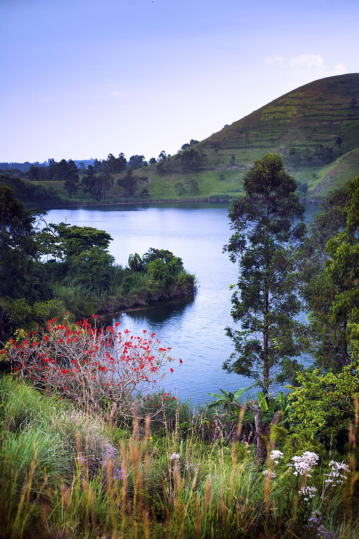 Lago del cráter, portal de Fort, Uganda, flores rojas, follaje, verde, colina