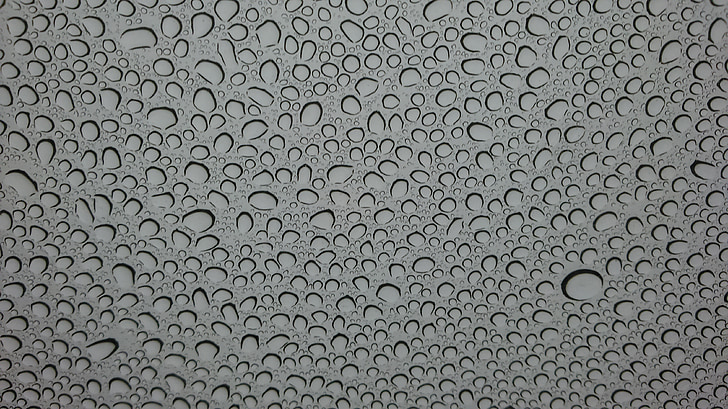 water, drops, rain, nature, bubble, wet, droplet