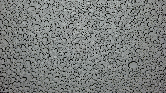 water, drops, rain, nature, bubble, wet, droplet