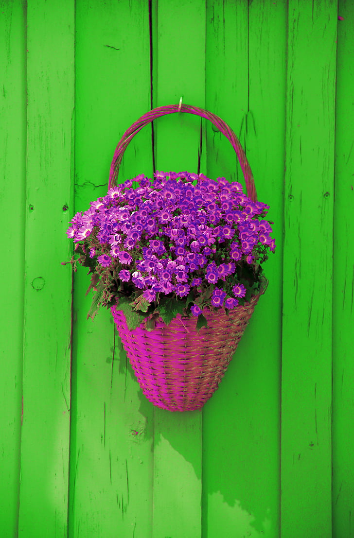 wall, basket, flowers, decoration, rustic, decorative, background