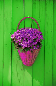 стена, кошница, цветя, декорация, селски, декоративни, фон