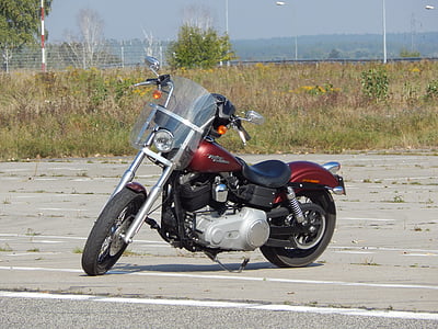 Sepeda Motor, Harley-davidson, otomotif, Speeder