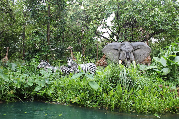 Jungle, animaux, Zebra, éléphants, herbe, plantes, rivière