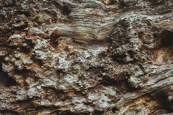 brun, Rock, formasjon, treet, tre, bark, teksturert