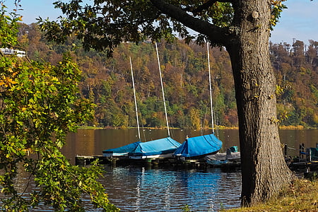 jazero, jeseň, Príroda, stromy, Príroda, člny, plachetnice