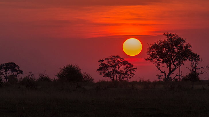 botswana, okavango delta, sunset, tree, moon, circle, tranquil scene