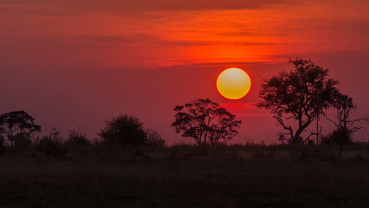 Botswana, delta del Okavango, puesta de sol, árbol, Luna, círculo, tranquila escena