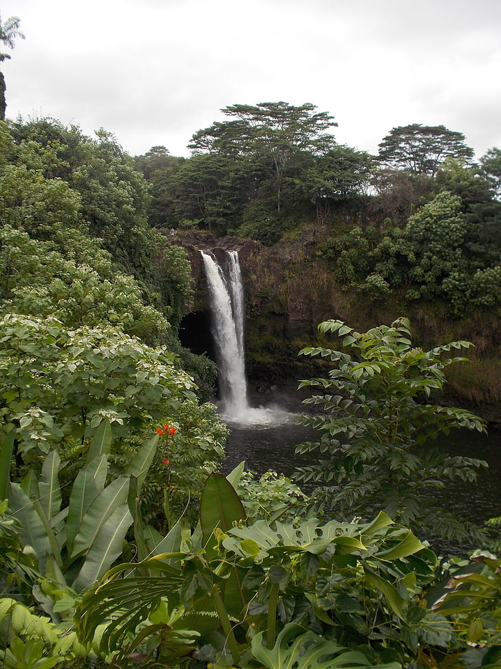 Wasserfall, große Insel, Hawaii