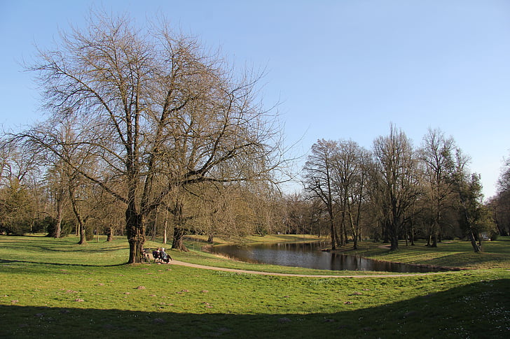 park, bench, lake, spring, nature