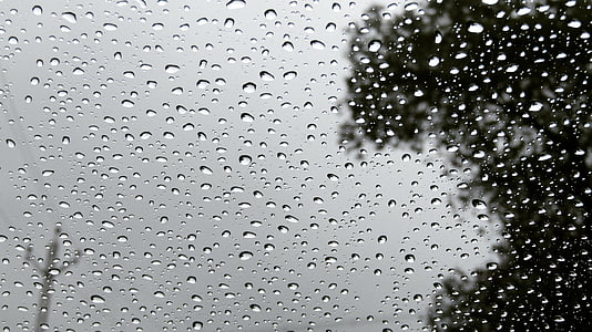 clear, droplets, drops, electricity poles, environment, liquid, rain