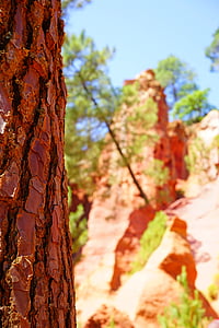 Ağaç kabuğu, ağaç, kozalaklı, koyu sarı taş, kaya, Roussillon, Kırmızı