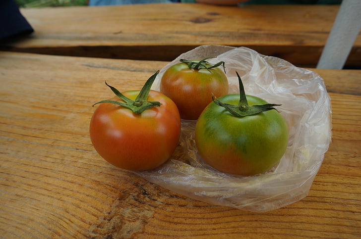 puu, värsked tomatid, punane, värske, tervise, toidu, taimne