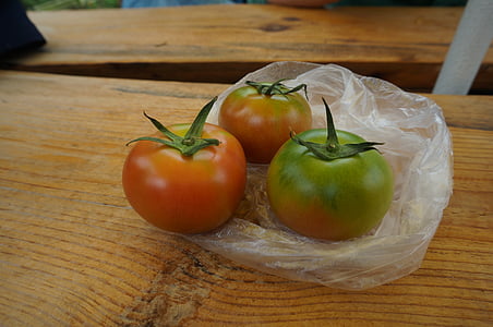 fruit, fresh tomatoes, red, fresh, health, food, vegetable