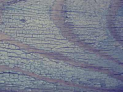 arbre, texture, Closeup, texture du bois, Rough, bois de sciage, texture naturelle