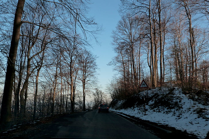 woods, trees, roads, winter, snowy, lands, grounds