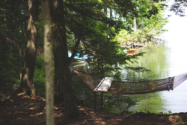 hammock, lake, nature, trees, water, royalty  images, outdoors