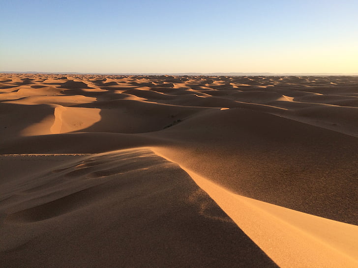 désert, dunes, sable, dune de sable, nature, sec, paysage