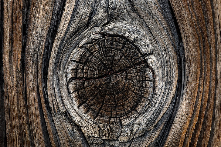 tablero, madera, rama, antiguo, grano, paneles, juntas de brida