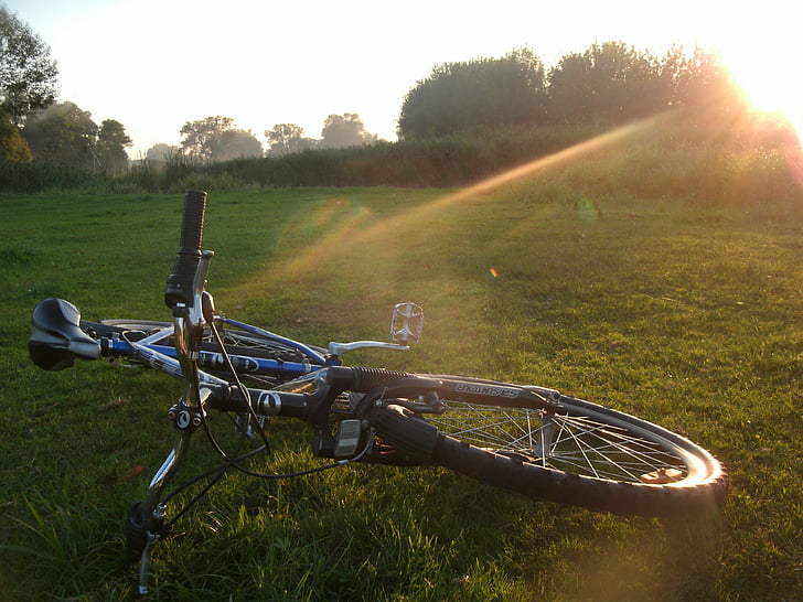 sykling, sykkel, syklus, sykkel, sport, utendørs, solnedgang