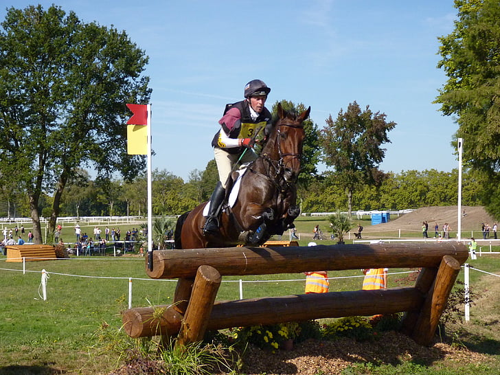 horse, eventing, cross, horseback riding, contest, complete, jump