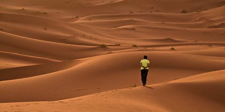 desert de, dunes, sorra, vermell, Àfrica, Marroc, Sàhara