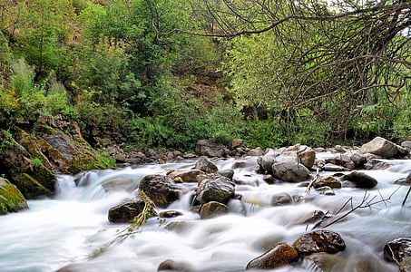 elven, landskapet, Tyrkia, natur, grønn, friluft, natur