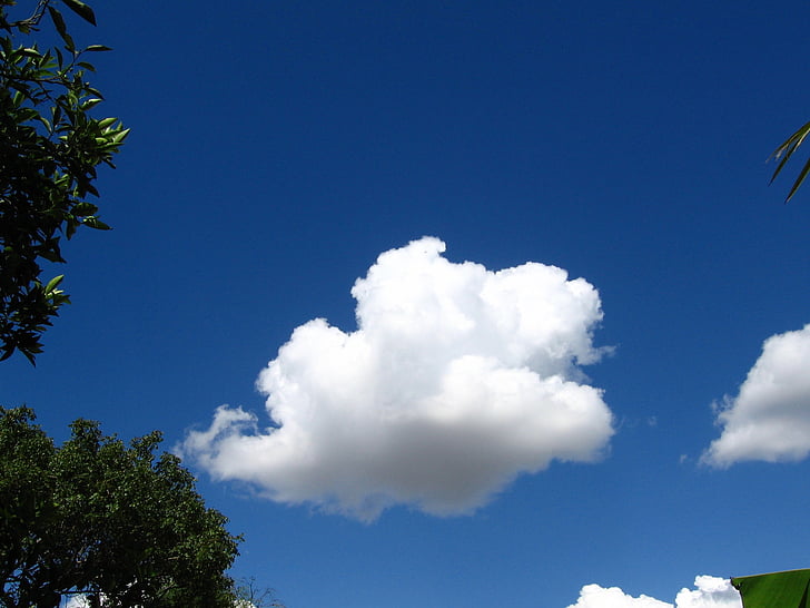 đám mây, bầu trời, màu xanh, thời tiết, khí hậu, mưa, Cumulus