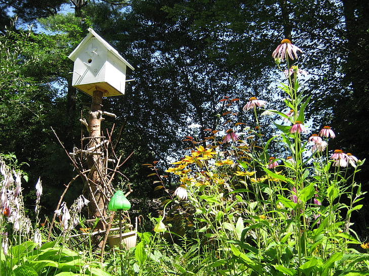 ogród, Birdhouse, Natura, sezon, Podajnik, domowej roboty