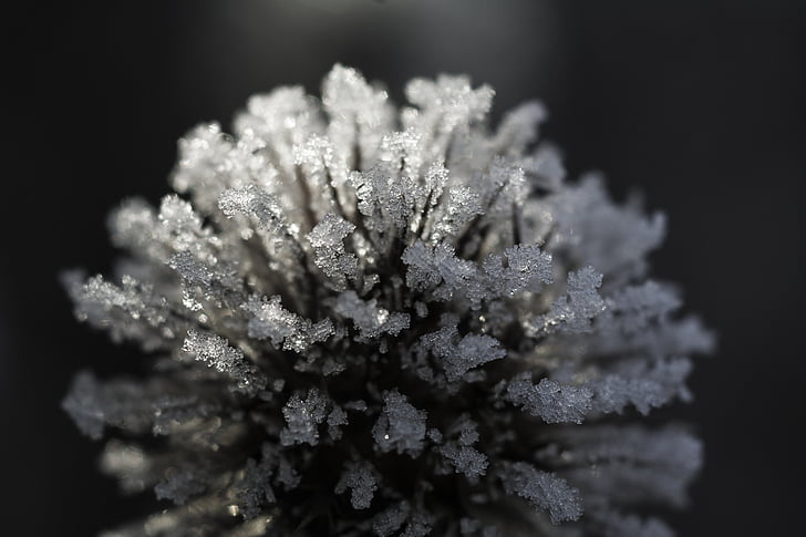 winterliche, Frost, Kälte, Eiskristalle, Natur, Eis-Muster, keine Menschen