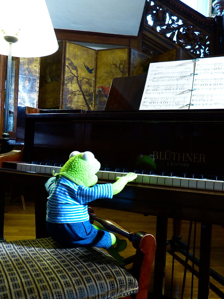 Kermit, varde, klavieres, spēlēt, uzdevums, mūziķis, pianists