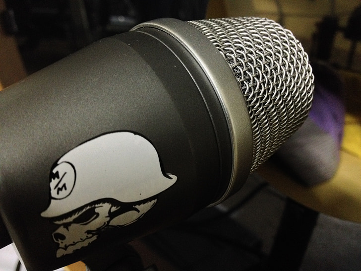 microphone, skull, music, recording, studio
