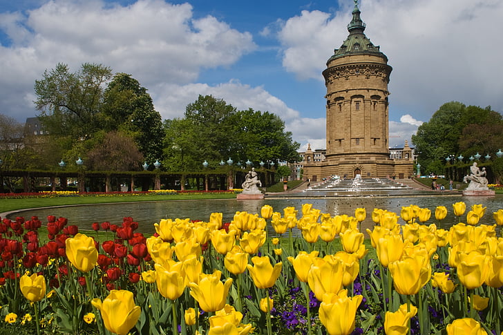 Mannheim, vattentorn, blommor