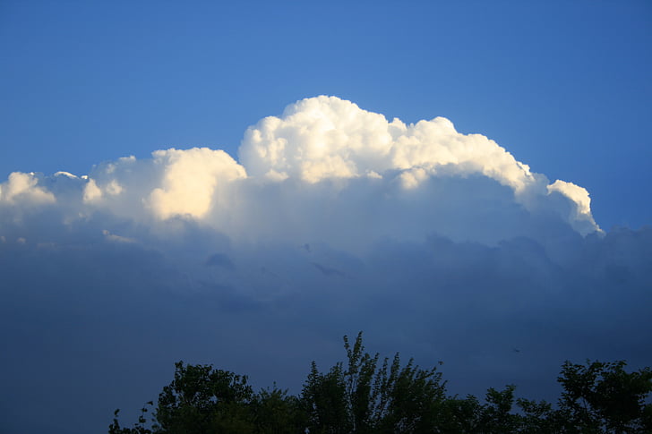 nuvens, Cumulus, Branco, grande, pesado, sombreado, captura a luz solar