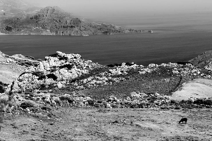campo, à beira-mar, Creta, preto e branco, natureza, paisagem, montanha