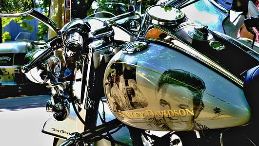 harley davidson, motorcycle, elvis